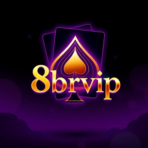Logotipo 8brvip